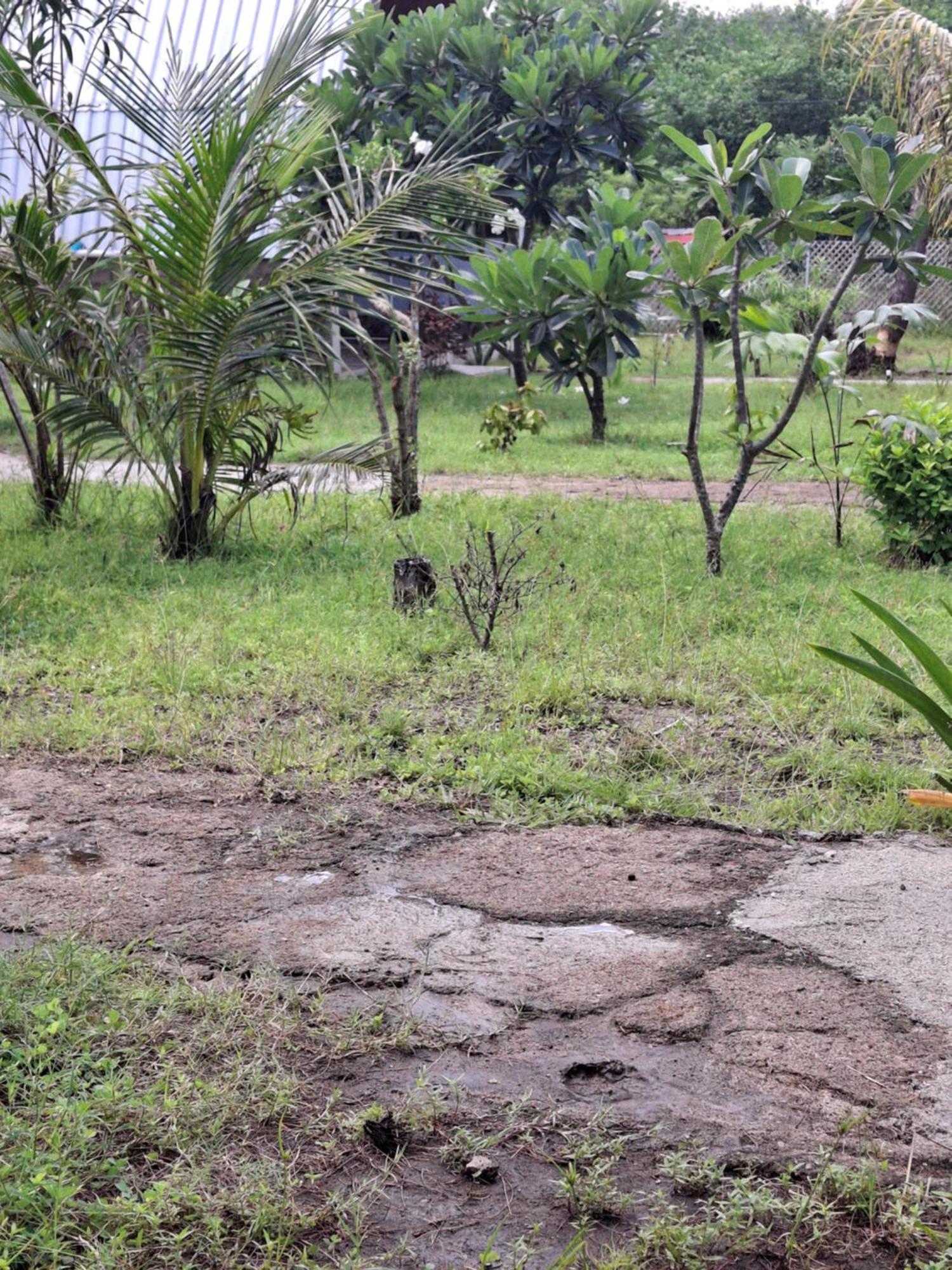 Cnunk Bungalow ギリ島 エクステリア 写真